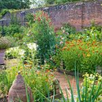 Making the Most of Outdoor Space for a Bountiful and Beautiful Vegetable Garden